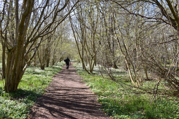 istock Walking on a beautiful footpath by spring season 981113718