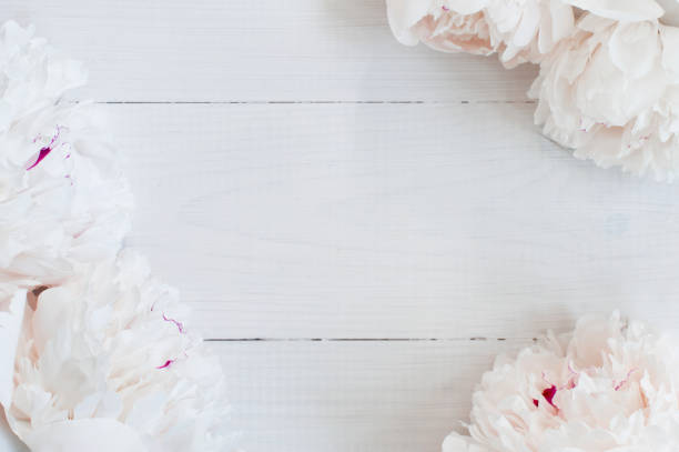 istock White wooden summer background with peony 981116702