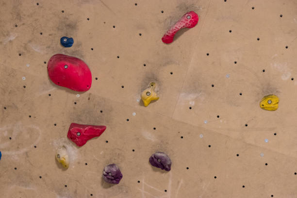 istock Indoor climbing wall with colorful grips 981117056