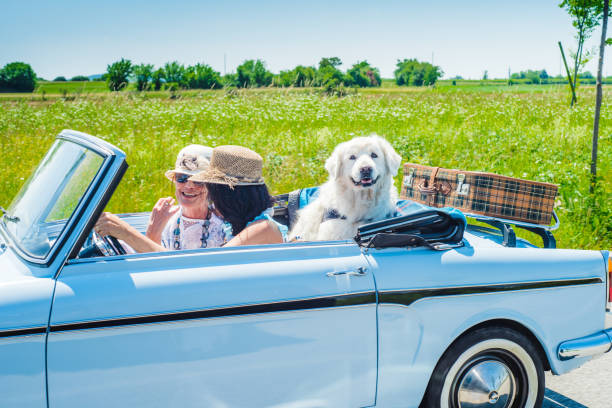 istock Two Mature Women on Roadtrip with Old-fashioned Car 981120348
