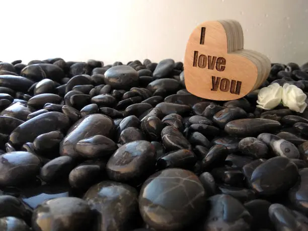 heart of wood on black stones