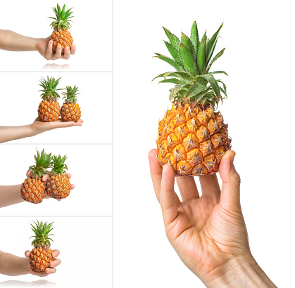 Baby pineapple in the human male hand, isolated on white background. Collage of set photos.