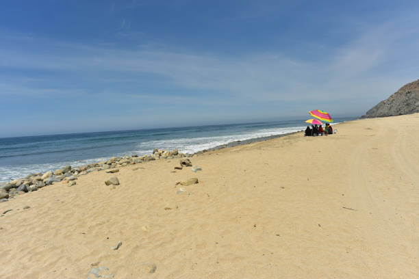 istock Pacific Ocean beach in Baja California Sur, Mexico 981146494