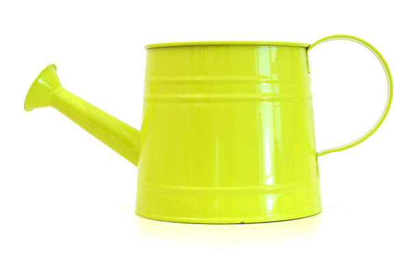 istock Green watering can isolated on white 981146538