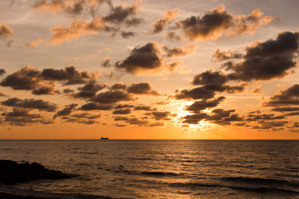 istock Palm Beach, Florida Sunrise 981147660