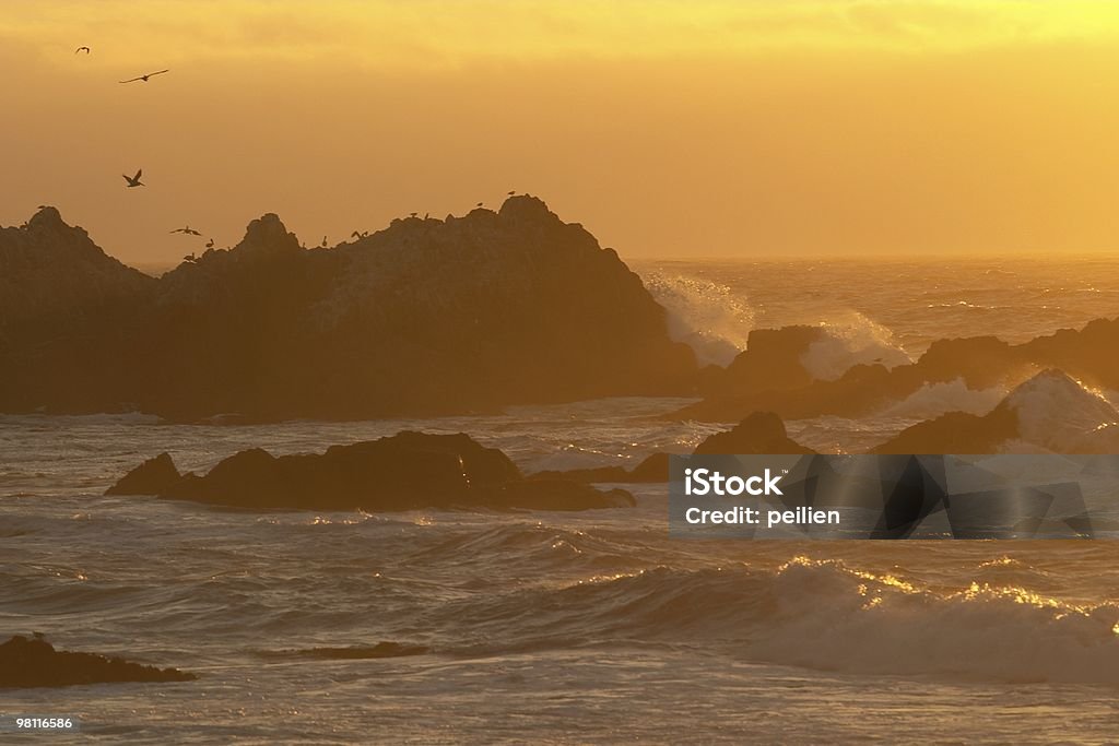 Sunset at 17 mile drive Sunset near Monterey, CA 16-17 Years Stock Photo