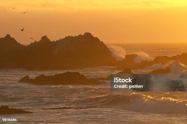 Sunset At 17 Mile Drive Stock Photo - Download Image Now - 16-17 Years, Beach, Bird