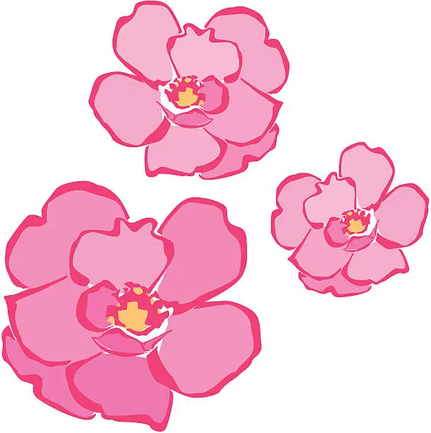 Vector illustration of three roses