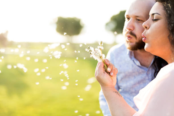 istock couple is blowing what it is dandelion 981169180