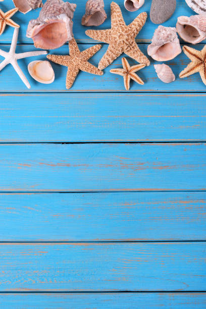 istock Tropical beach summer starfish background border vertical 981169396