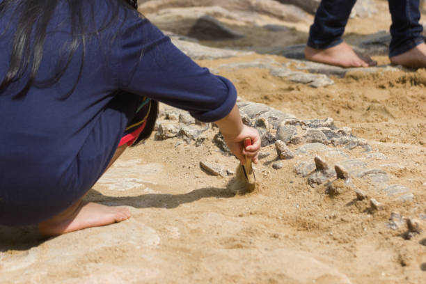 istock history dinosaur, Excavating dinosaur fossils simulation 981176568