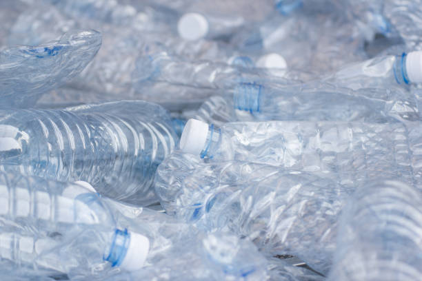 istock Concept of recycling the Empty used plastic bottle 981176868