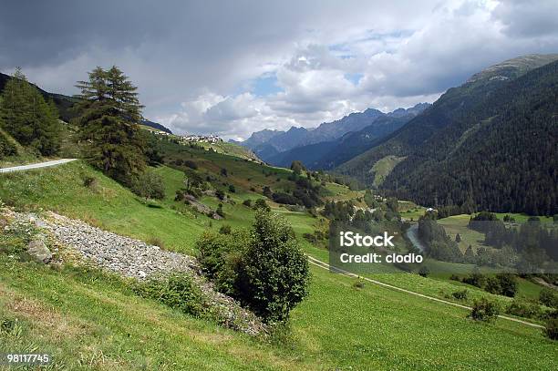 Landschaft In Engadin Im Sommer Stockfoto und mehr Bilder von Fluss Inn - Fluss Inn, Tal, Alm