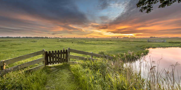istock Panorama  view of gate in agricultural landscape 981177836