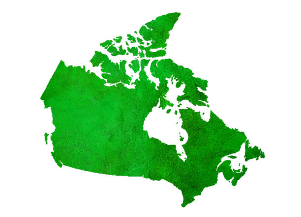 istock Green Map of Canada Isolated on White 98117877