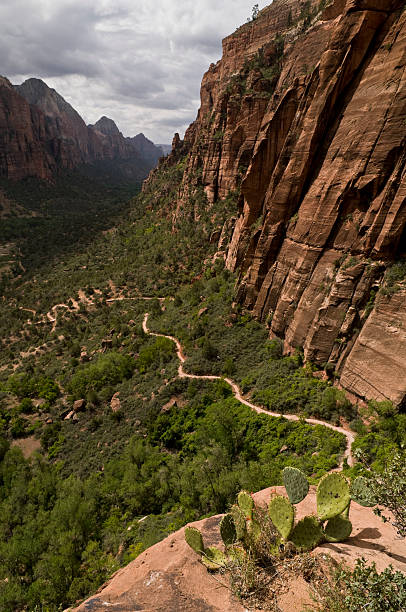 istock Trail to Angels Landing 98118563