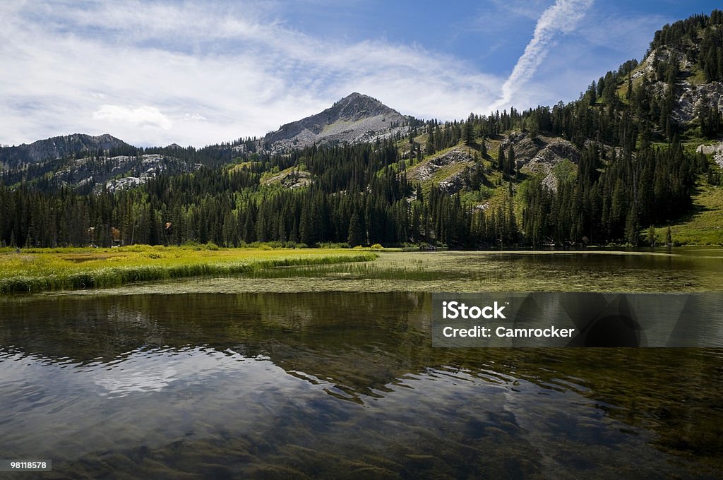 Silver Lake Reflection  Utah Stock Photo