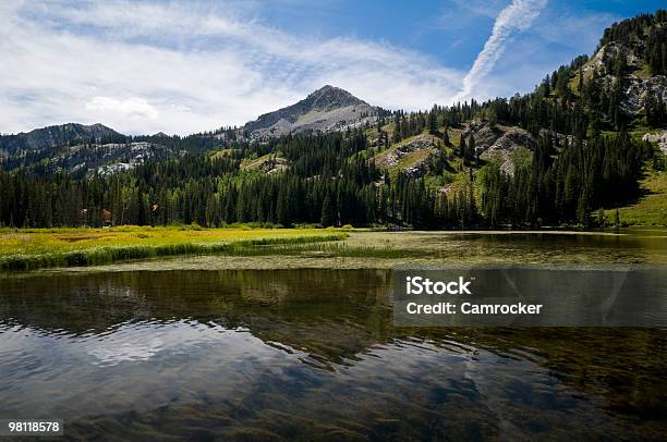 Silver Lake Reflection Stock Photo - Download Image Now - Utah, Reservoir, Beauty In Nature