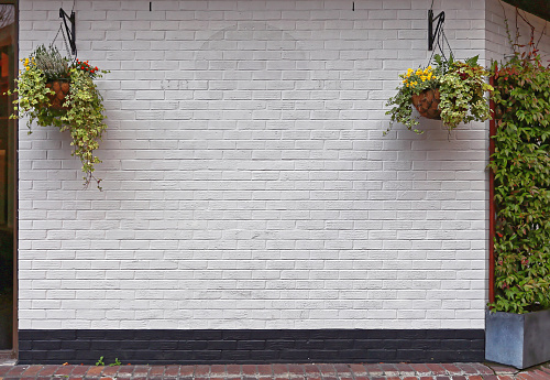 White Wall With Hanging Flower Pots Decor