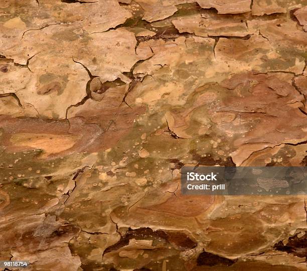 Natural Abstract Bark Stock Photo - Download Image Now - Tree, Abstract, Backgrounds