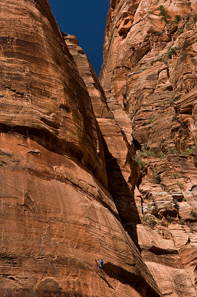 istock Rock Climber in Zion 98118857