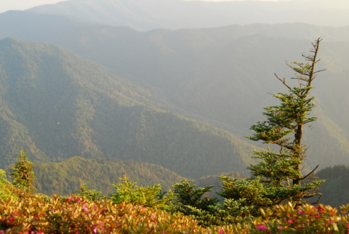 View of the Smoky Mountains from the summit of Mt. LeConte.
