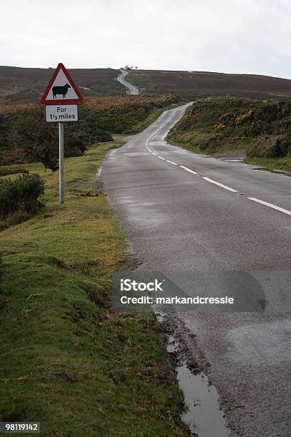 Estrada Através Do Parque Nacional De Exmoor - Fotografias de stock e mais imagens de Encosta - Encosta, Fotografia - Imagem, Imagem a cores