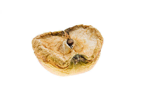 dried apple stock photo