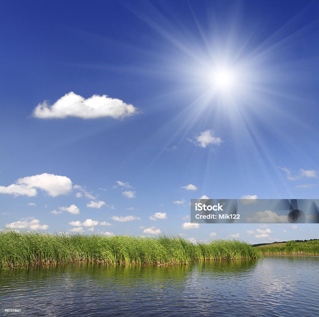 summer pond  At The Edge Of Stock Photo