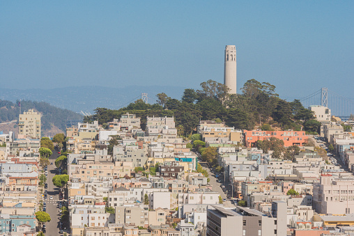 From the Russian Hill area of San Francisco, California, USA  the landmark Coit Tower can be seen surrounded by residential homes on Telegraph Hill. Photographed from a low angle view. Clear blue sky background.