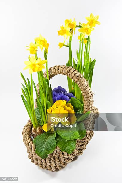 Foto de Cesta Com Flores e mais fotos de stock de Amarelo - Amarelo, Arranjo de Flores, Azul