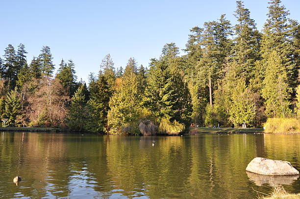 istock Nature scene in the park 98122862