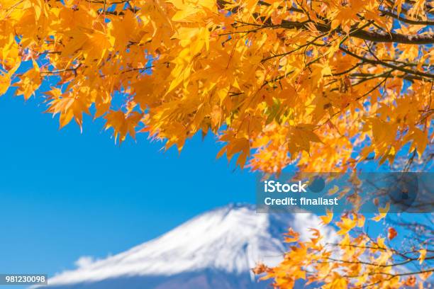 Mount Fuji Scenery Of Maple Leaves Changing In Autumn Season At Lake Kawaguchi Japan Stock Photo - Download Image Now