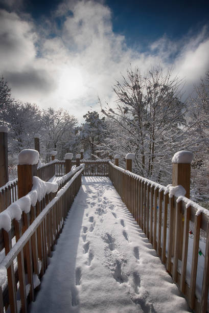 istock Snow in the Blue Ridge Mountains 981235066