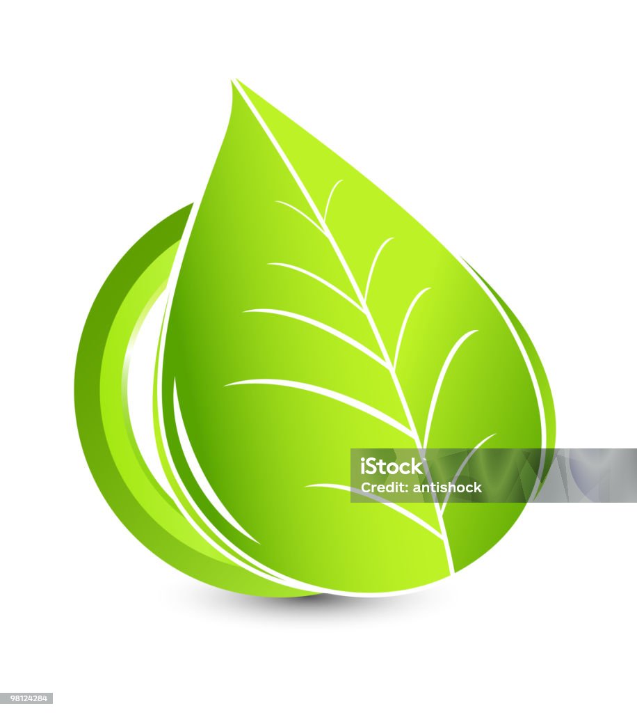 Leaf concept Green leaf with green circle Abstract stock vector