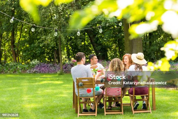 Primer Plano De Las Hojas Borrosas En El Jardín Con Un Grupo De Amigos Sentados En La Mesa Y Sonriendo En El Fondo Foto de stock y más banco de imágenes de Jardín privado