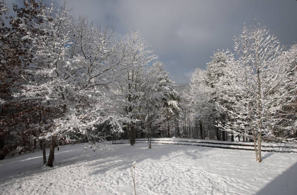 istock Snow in the Blue Ridge Mountains 981243792