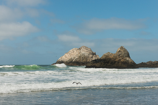 This is a color photograph of the Ocean Beach landscape in San Francisco, California during the summer. Rugged rocks stick out of the water along the shoreline of the Pacific ocean.