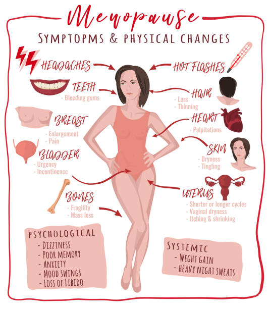 symptome der menopause und körperlichen veränderungen - schulwechsel grafiken stock-grafiken, -clipart, -cartoons und -symbole