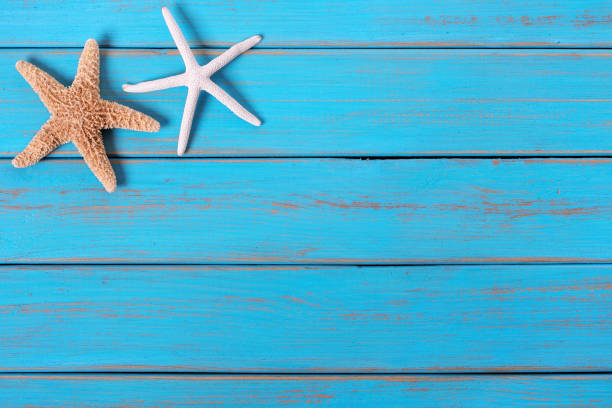 istock Starfish old worn blue beach wood deck background border 981258186