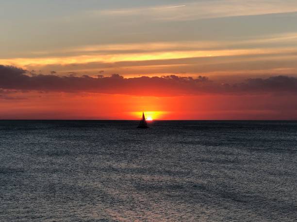 istock Sunset with sailboat in Florida 981278892
