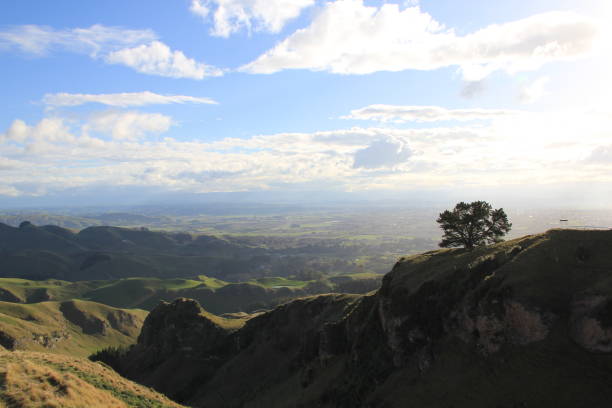 istock Te Mata Peak, New Zealand 981290868