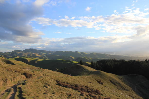 istock Te Mata Peak, New Zealand 981291288