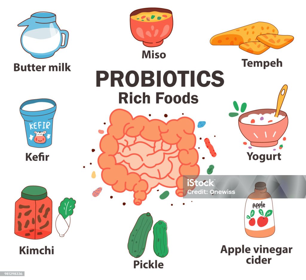 probiotics rich foods The intestine cartoon surrounded with foods being high in probiotics, all cartoon elements with line design on white background, illustration, vector Probiotic stock vector