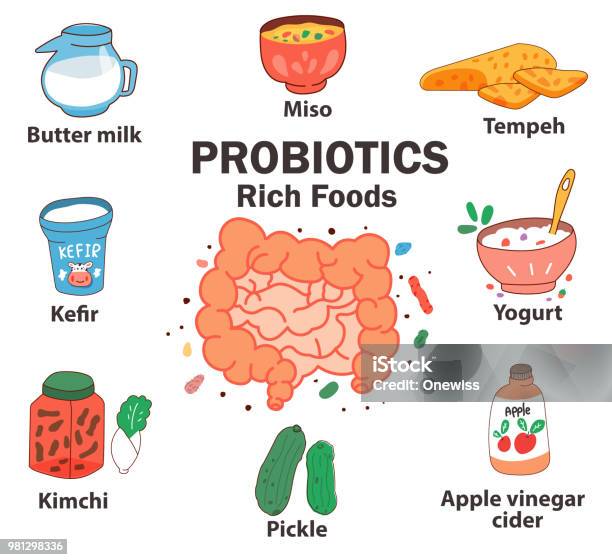 Probiotics Rich Foods Stock Illustration - Download Image Now - Probiotic, Food, Abdomen