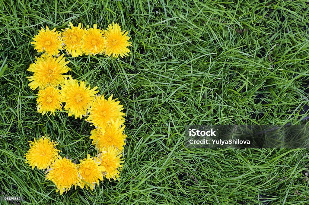 Löwenzahn'Five' - Lizenzfrei Baumblüte Stock-Foto