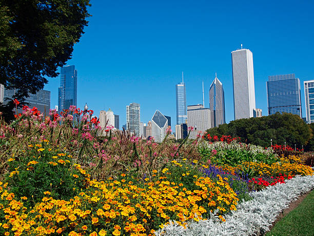 Summer Flowers in Grant Park Chicago, Illinois stock photo