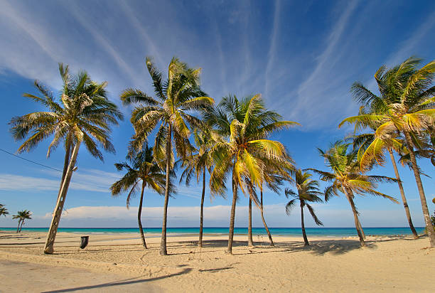 istock Tropical beach at Santa maria del mar, cuba 98131355