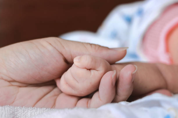istock Selective focus on hands of newborn tiny baby and parents. 981314378