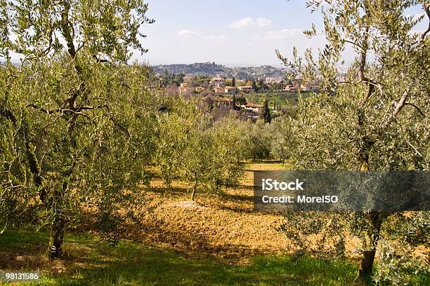 Toskanische Showcase Stockfoto und mehr Bilder von Agrarbetrieb - Agrarbetrieb, Anhöhe, Aussichtspunkt